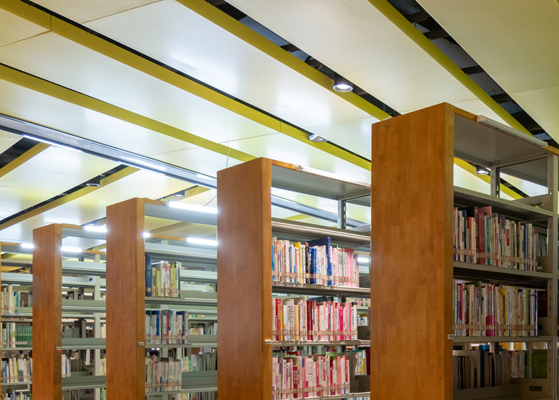 Bookcases in a library